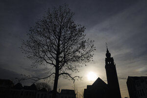 Kale boom en kerkentoren tegen zonsondergang