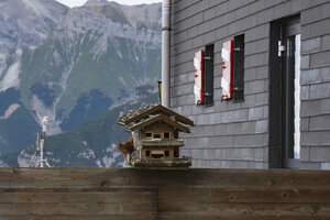 Eekhoorn bezoekt voederhuisje in Oostenrijkse Alpen