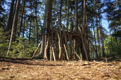 Children build a small woodland shelter using sticks and branche