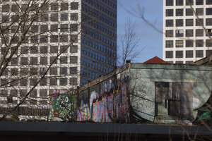Kunstig contrast: Rotterdamse straatkunst tegen moderne skyline