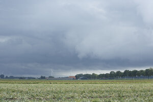 Donkere wolken boven landelijk gebied met windmolens