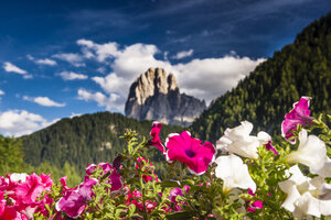 Levendige bloemen met majestueuze bergen en blauwe lucht