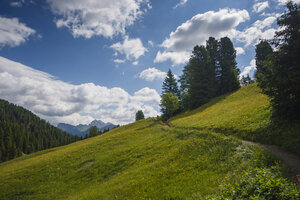 Ontdek serene glooiende groene heuvels onder een helderblauwe lucht