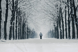 Eenzame winterwandeling door het besneeuwde Liesbos