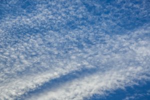 Wolken en vogels op blauw
