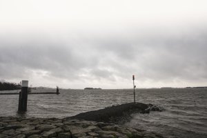 Moeras bij grijze winterlucht