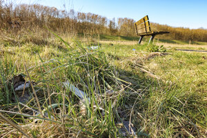 Environmental pollution visible in a neglected green area with l