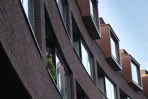 Decorative holiday lights brighten the exterior of an apartment