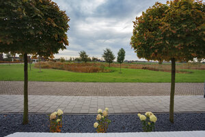 Rustig landschap met verzorgde bomen en bloemen