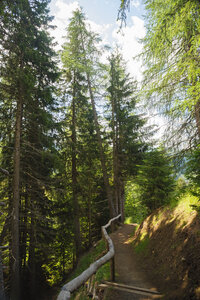 Wandelen over een sereen bospad in Italië