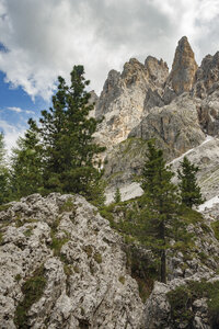 Majestueuze rotsachtige toppen boven weelderige bomen