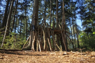 Children build a wooden fort in a dense forest on a sunny aftern