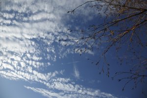 Luchter met wolken en takken op helder weer