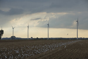 Windturbines in het platteland