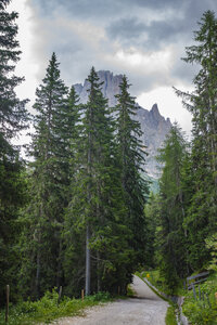 Adembenemend uitzicht op torenhoge pieken en majestueuze dennenboom