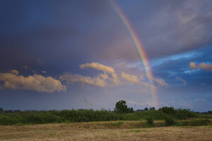 Levendige regenboog boven velden na zomerregen