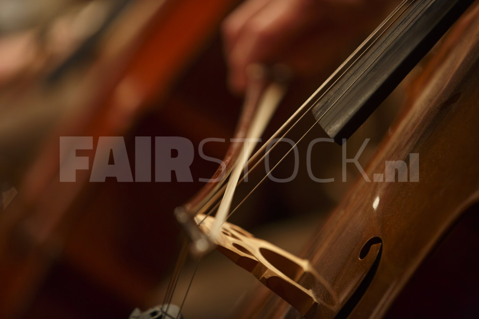 Strijker aan het werk tijdens avondconcert
