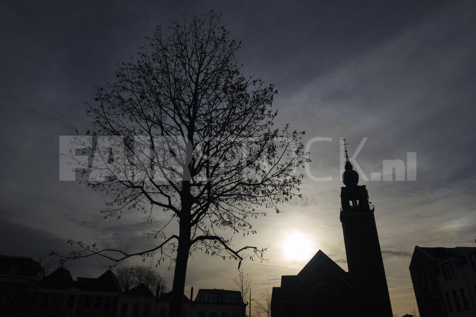 Kale boom en kerkentoren tegen zonsondergang