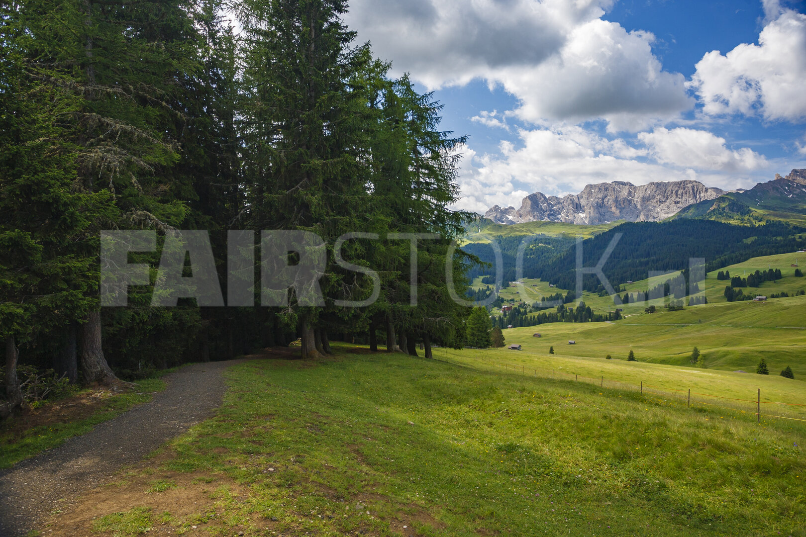 Schilderachtig wandelpad door weelderige groene weiden