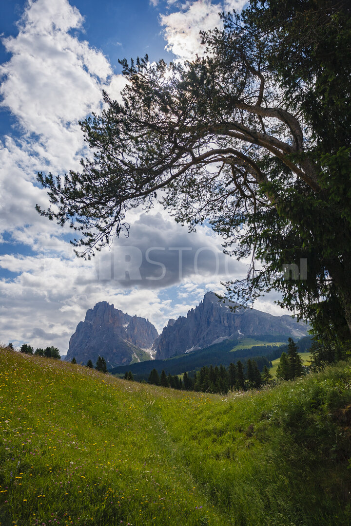 Uitgestrekt uitzicht op de Dolomieten in Italië