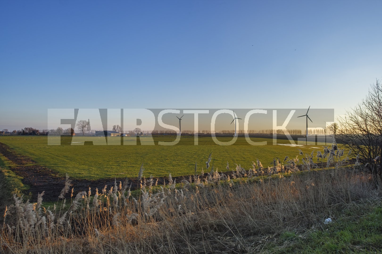 Windturbines in landelijk gebied bij zonsondergang