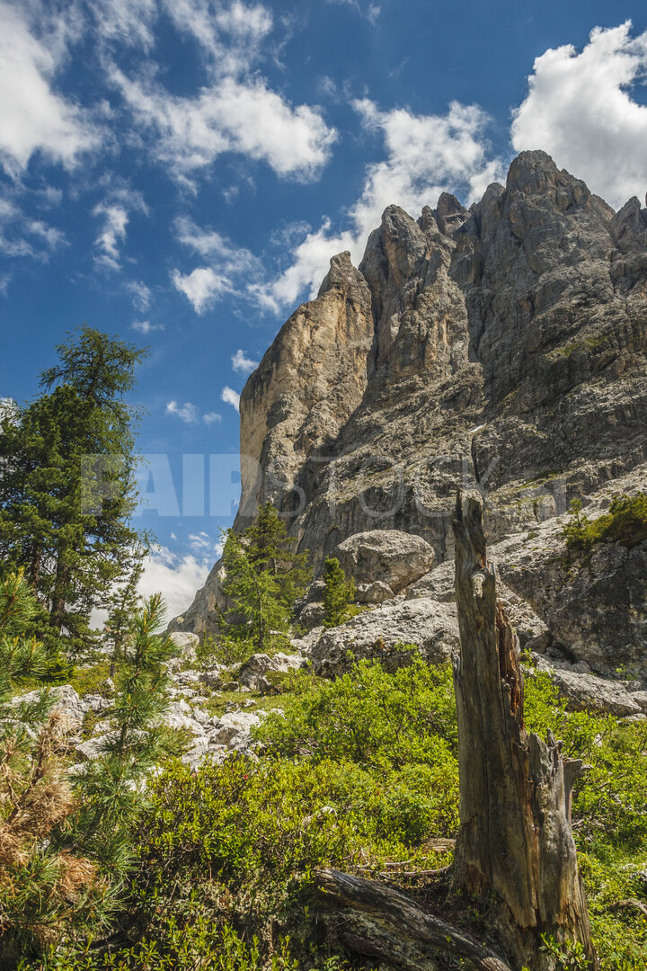 Verkenning van de Dolomieten: rotsformaties en groen