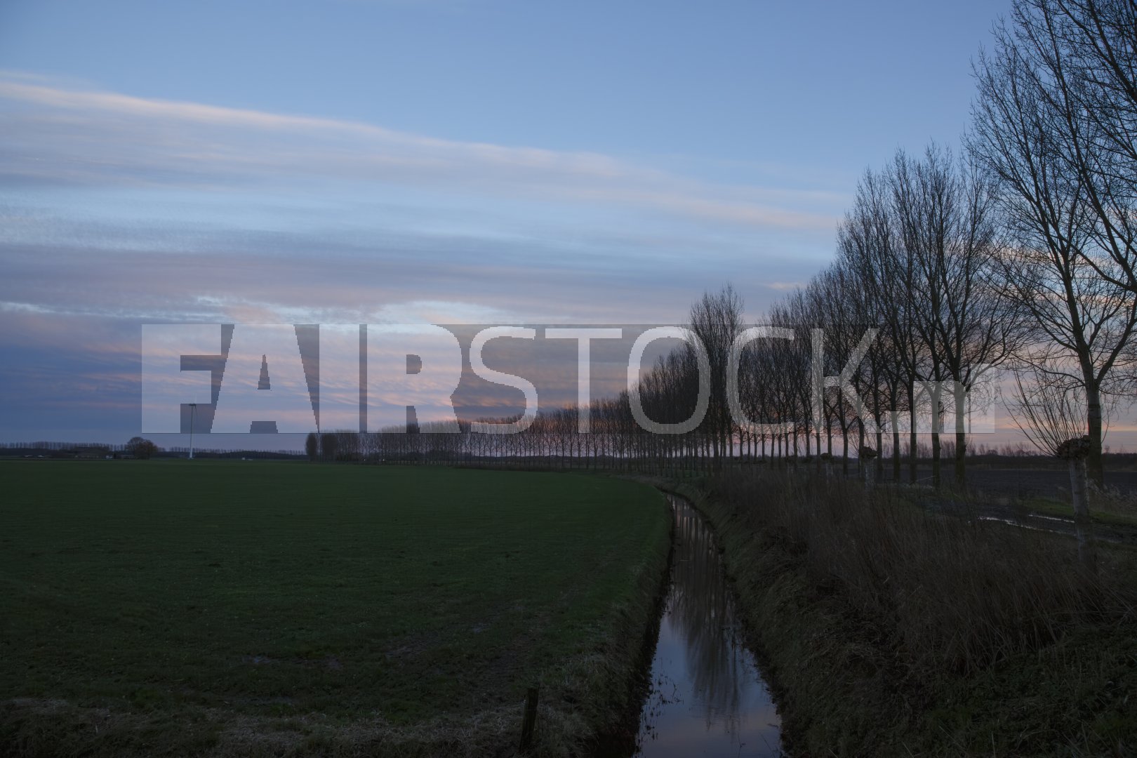 Bomenrij bij zonsondergang over groen veld