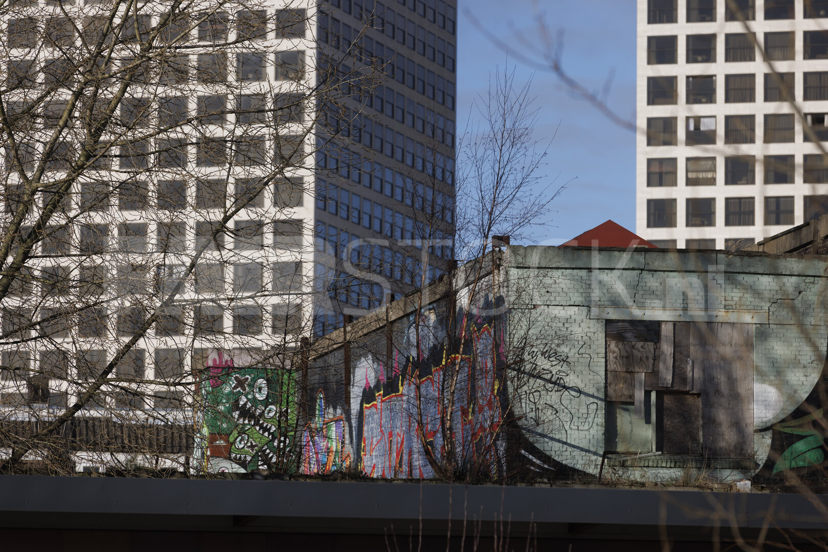 Kunstig contrast: Rotterdamse straatkunst tegen moderne skyline