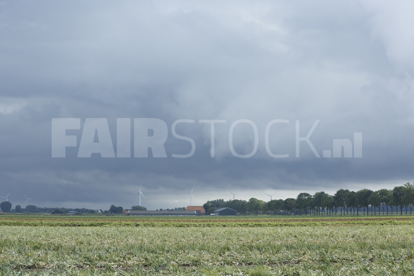 Donkere wolken boven landelijk gebied met windmolens