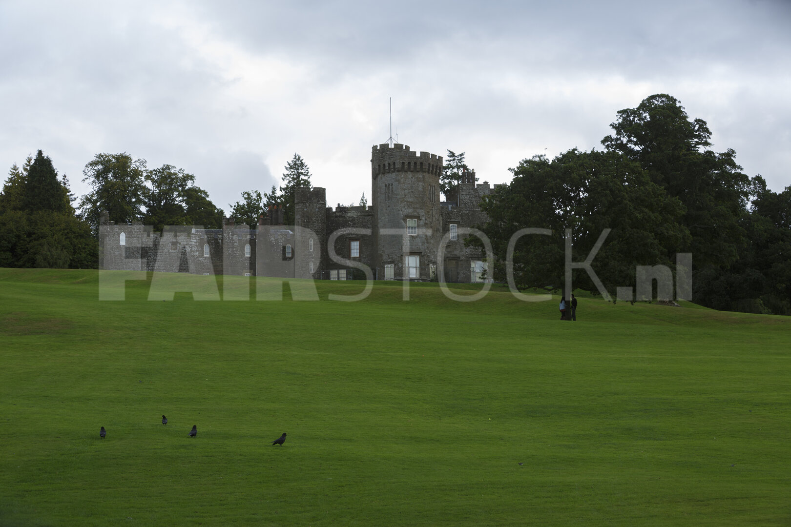 Historische kasteelruïnes op groene heuvel