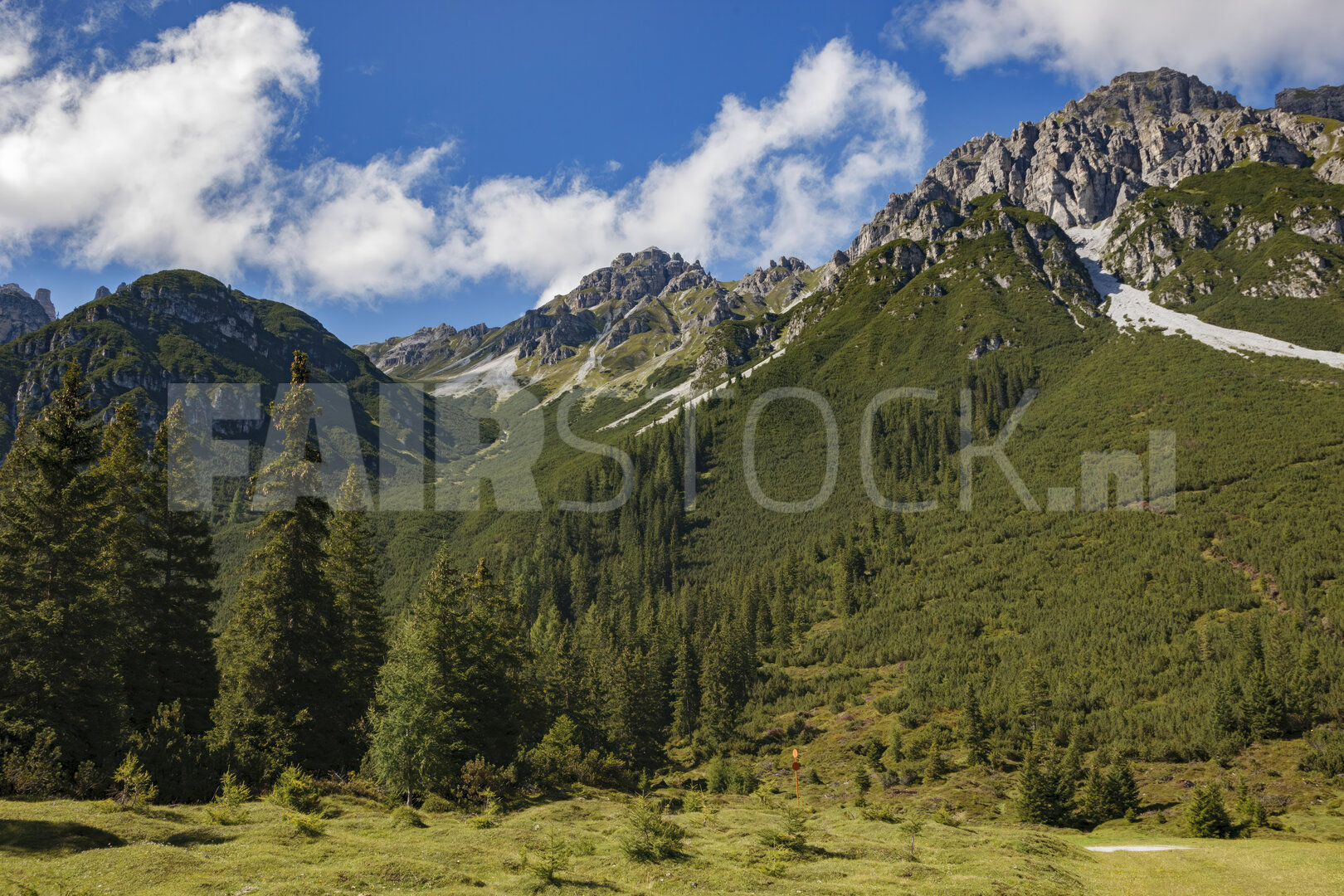 Majestueuze Oostenrijkse Alpen met groene bossen