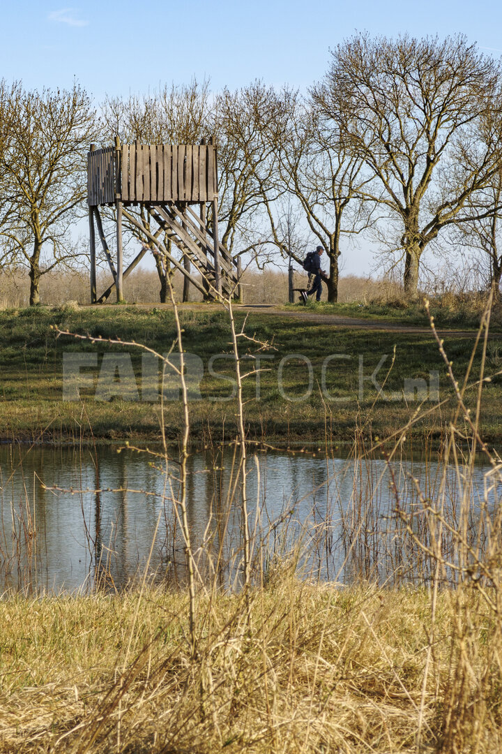 Viewing tower beside calm pond in rural landscape on a sunny day