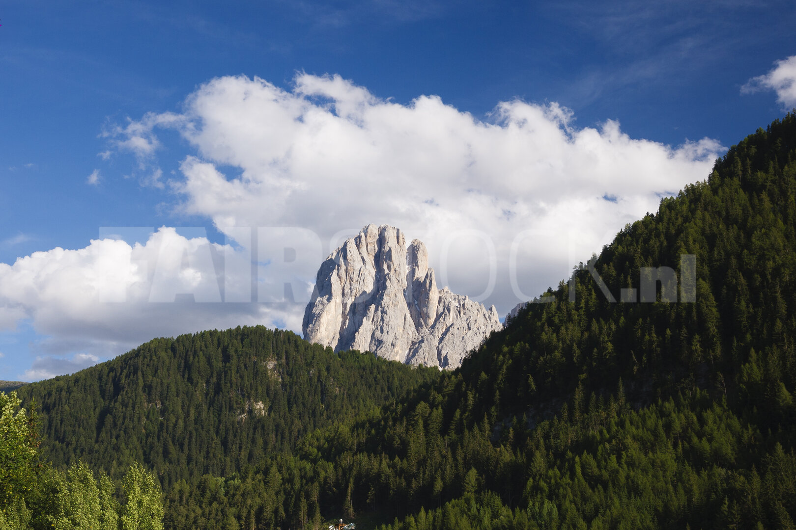 Indrukwekkende bergtop boven weelderig groen bos in Italië