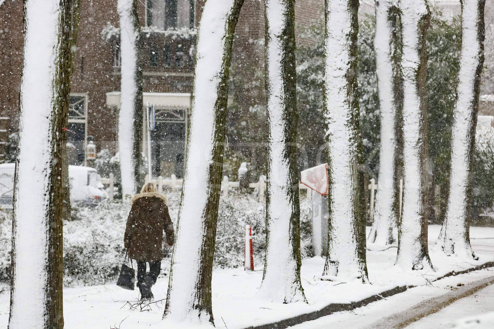Wandeling door winterwonderland in besneeuwd landschap