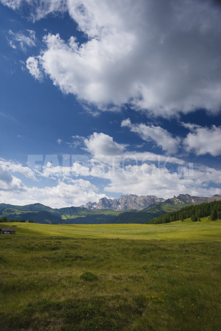 Weelderige groene weide in de Italiaanse Alpen