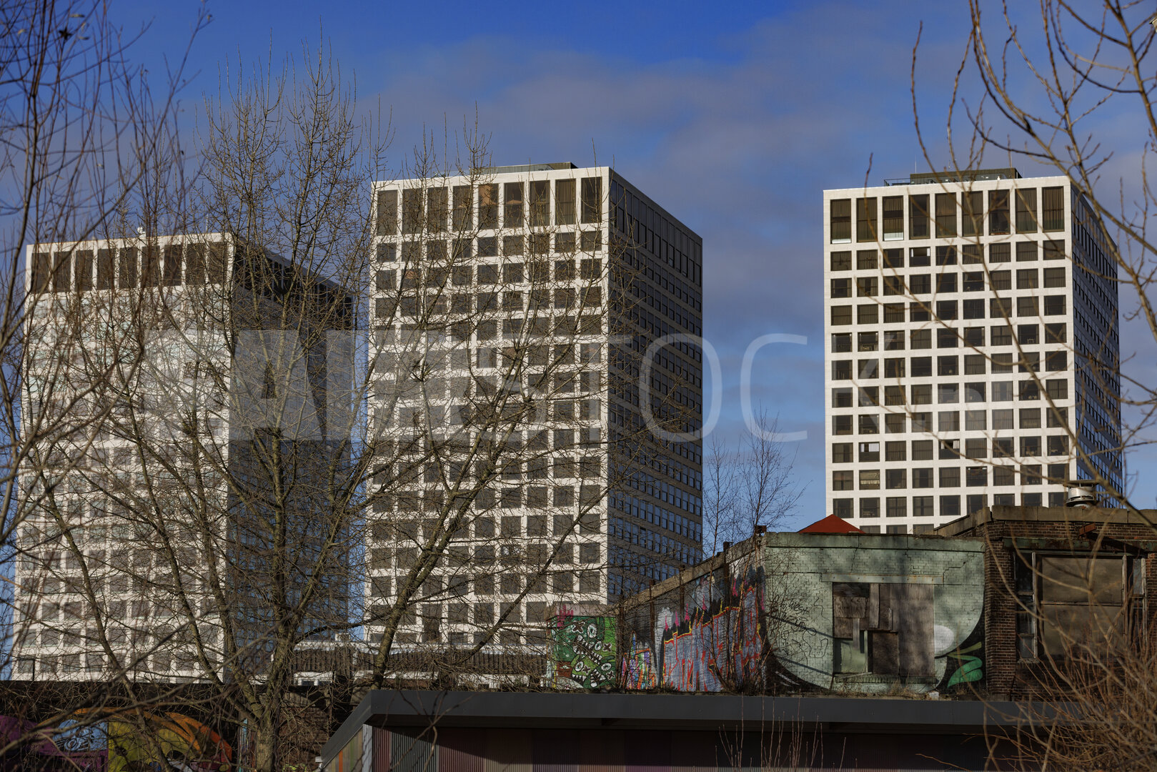 Moderne torens van Rotterdam tegen winterse hemel