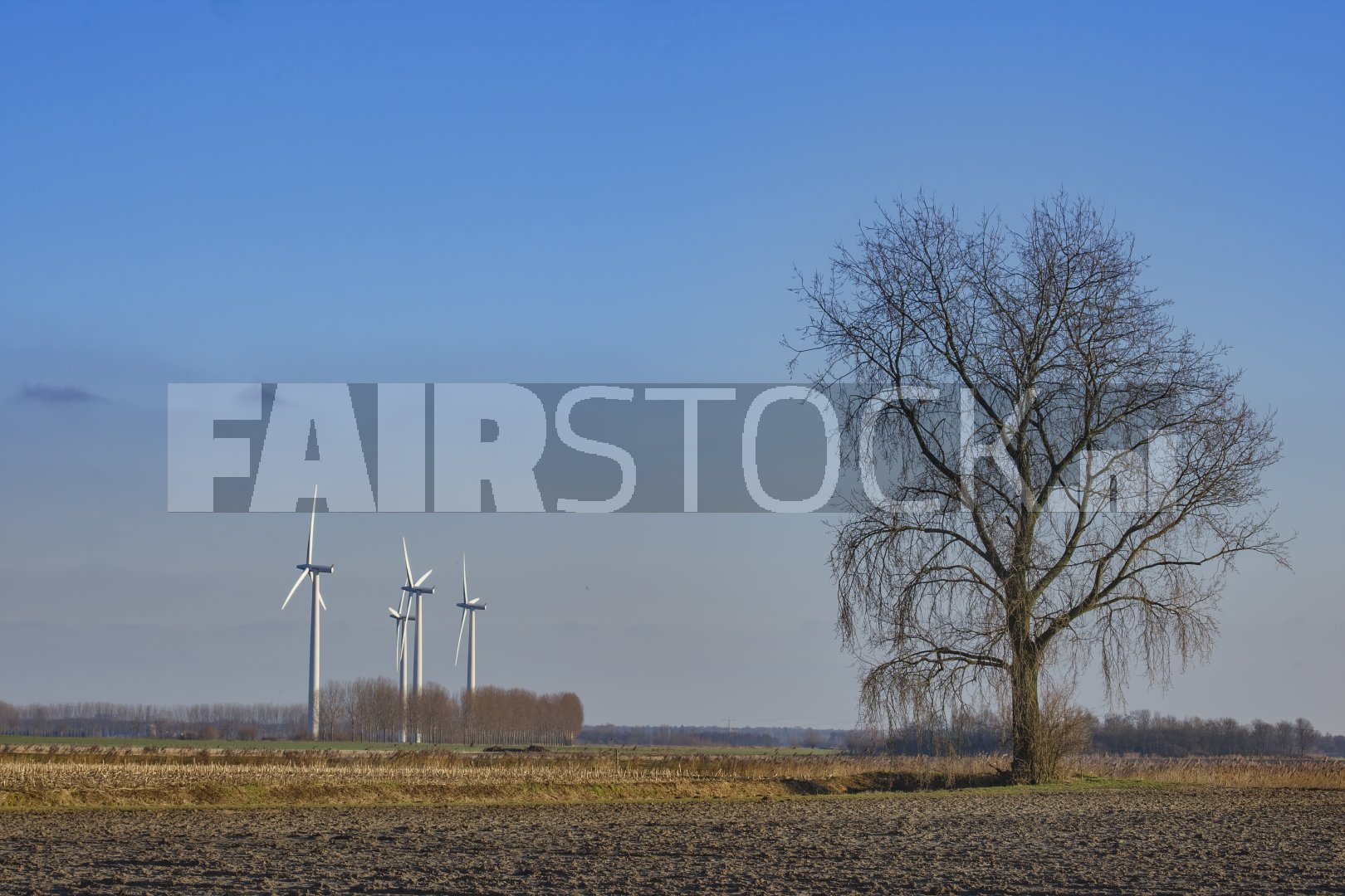 Windturbines in landelijk landschap onder blauwe lucht