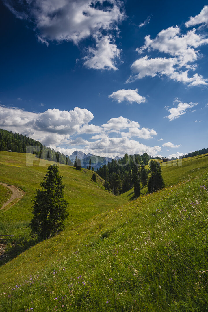 Rustige schoonheid van het Italiaanse platteland