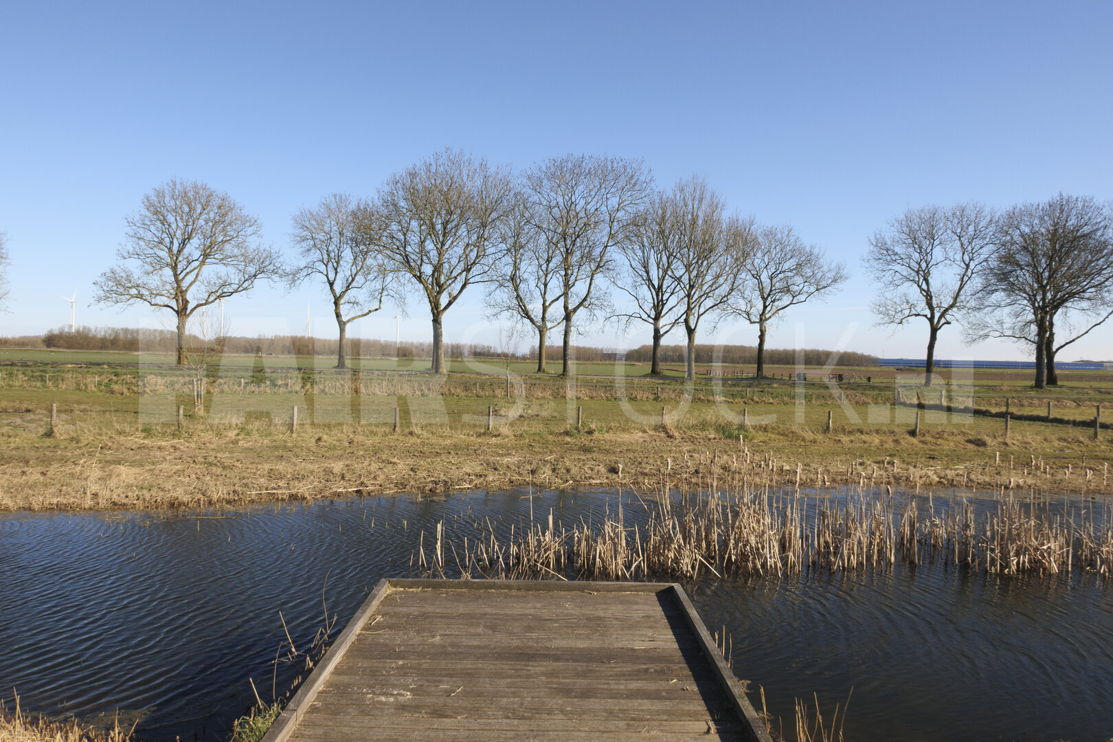 Tranquil lakeside view with barren trees and clear sky in serene