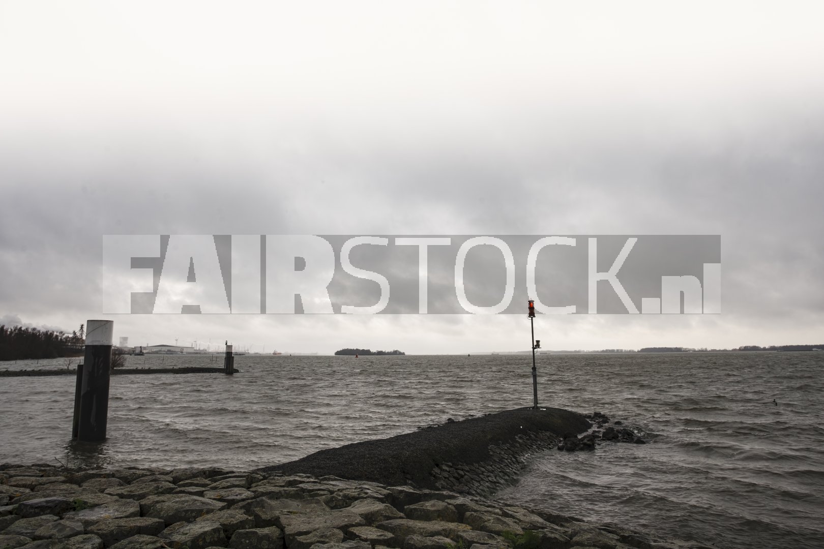 Moeras bij grijze winterlucht