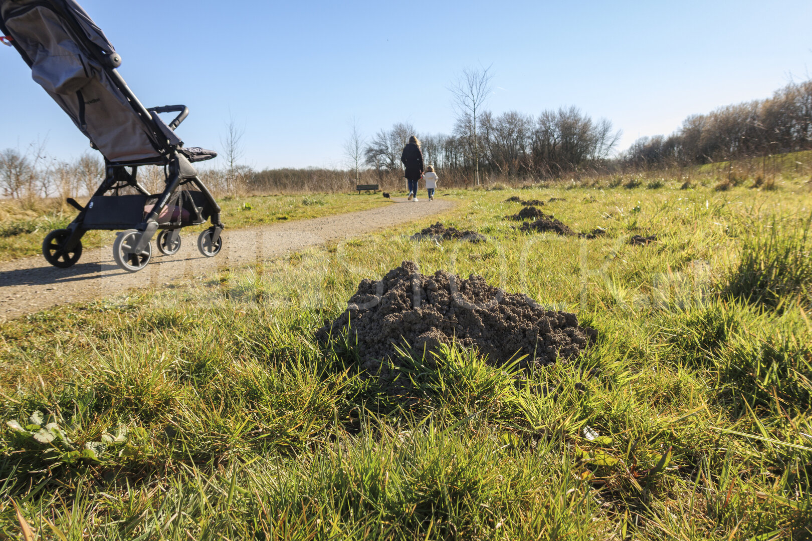 Family stroll on a sunny day with stroller and visible earth mou