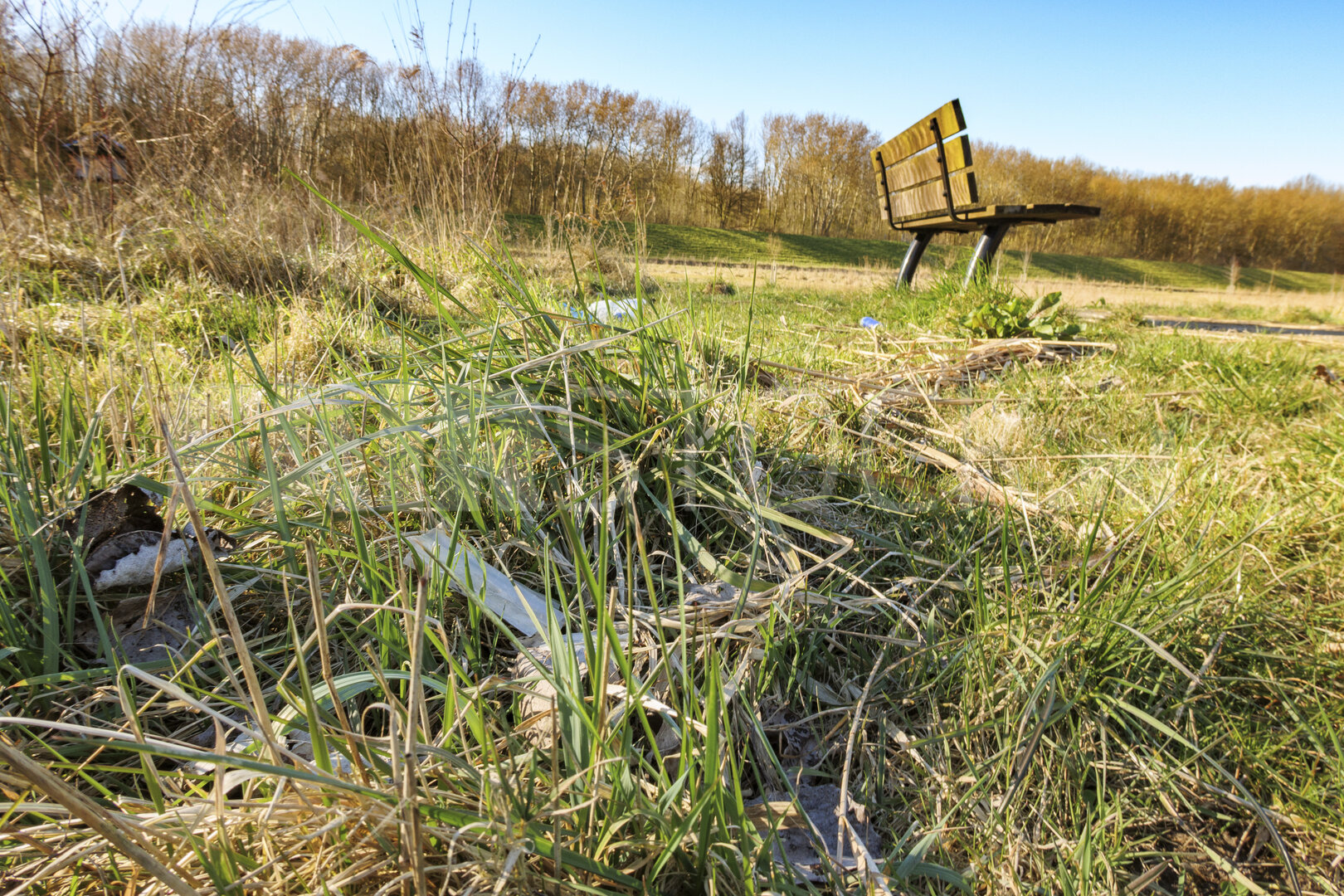 Environmental pollution visible in a neglected green area with l