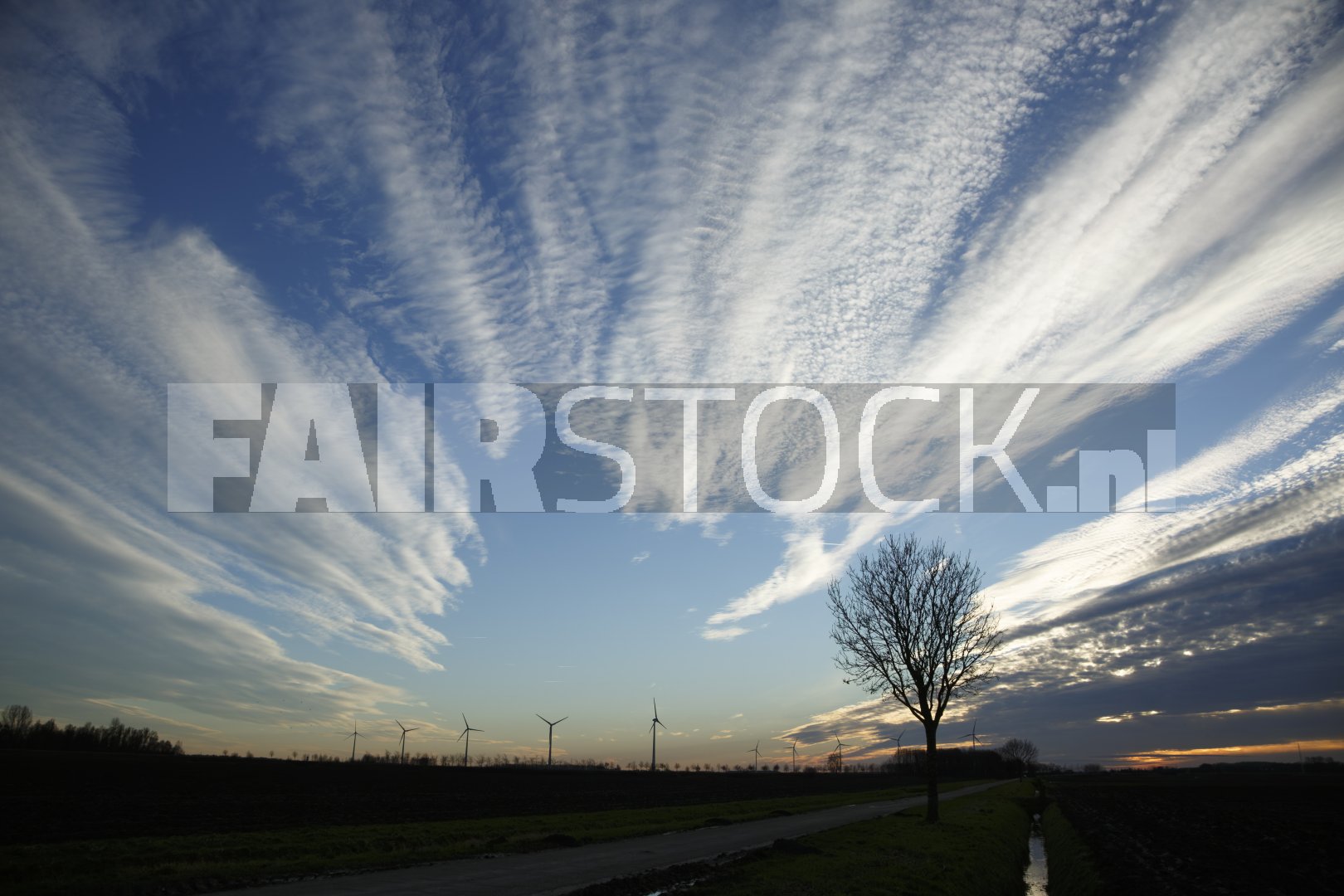 Wolkpatronen strekken zich over de hemel uit met een enkele boom naast...