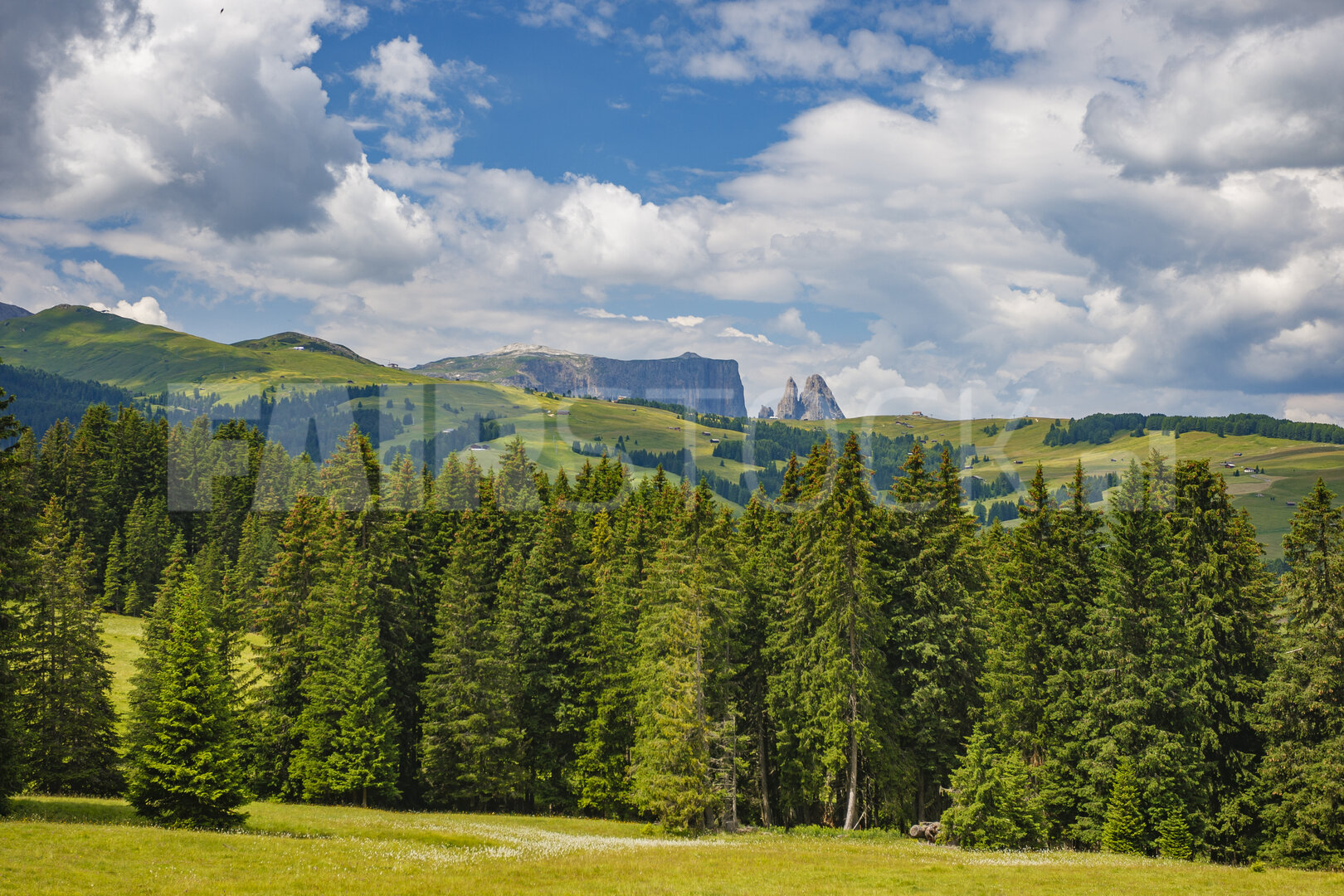 Majestueus Dolomietenlandschap in de zomer