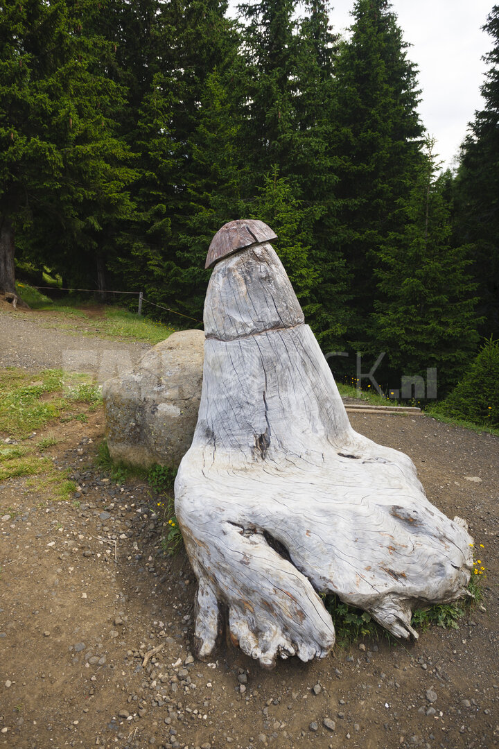 Unieke houten sculptuur in de Italiaanse Alpen