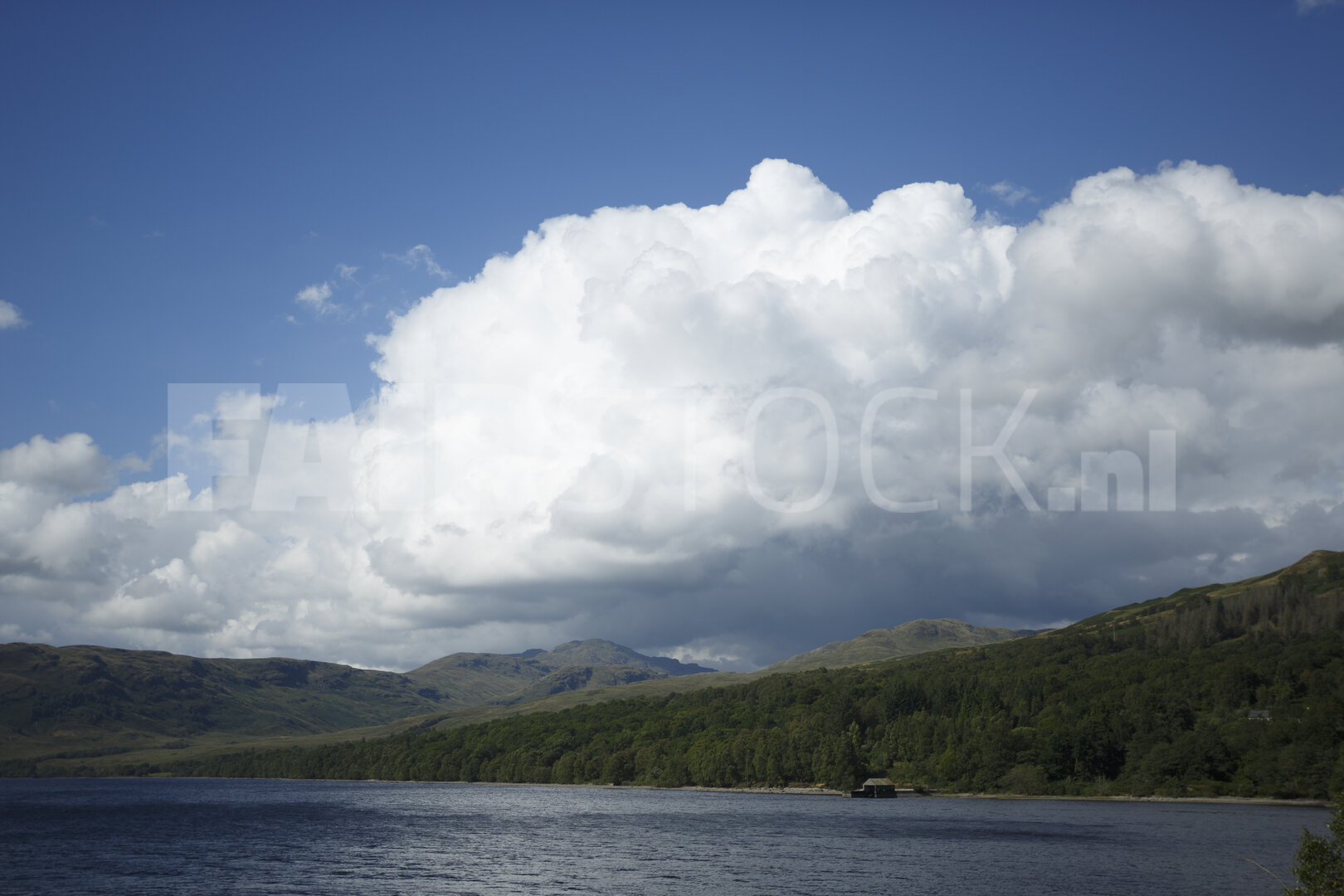 Meer met dramatische wolken en dennenbos