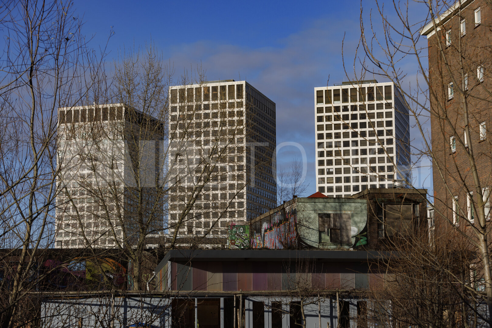 Moderne skyline Rotterdam tussen natuur en stedelijke progressie
