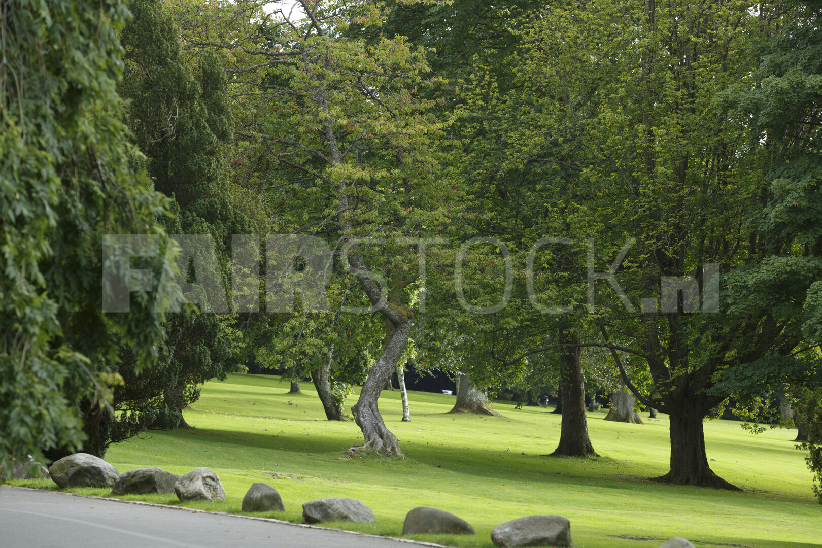 Weelderig groen park met bomen en rotsblokken