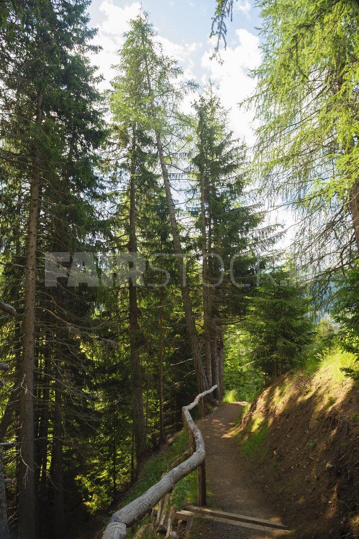 Wandelen over een sereen bospad in Italië