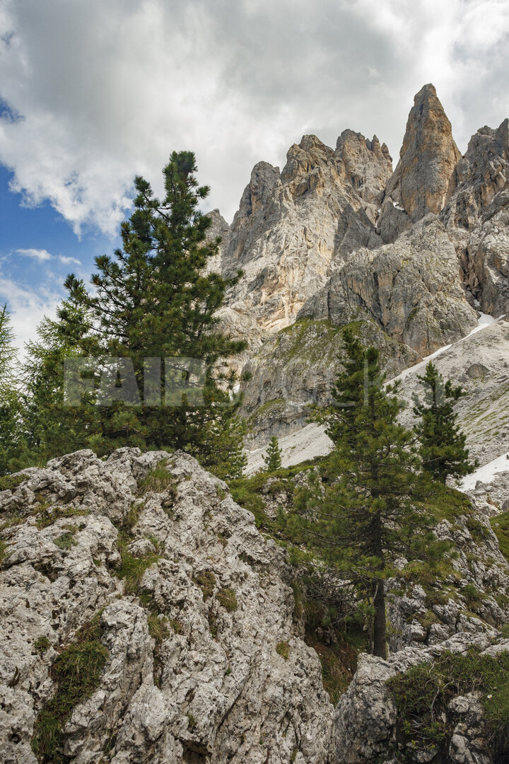 Majestueuze rotsachtige toppen boven weelderige bomen